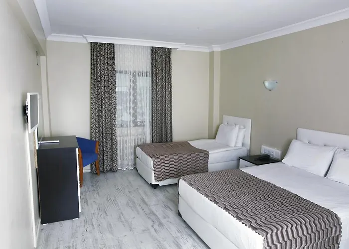 Erta Soyak Uludag Hotel 3*