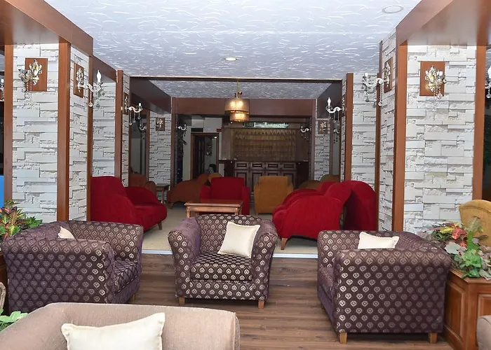 Erta Soyak Uludag Hotel 3*