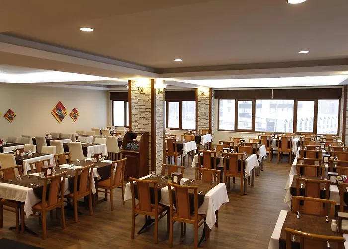 Erta Soyak Uludag Hotel