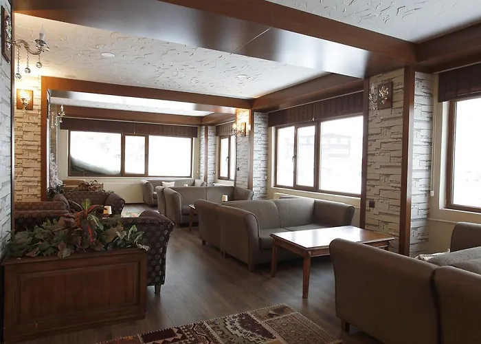 Erta Soyak Uludag 3*